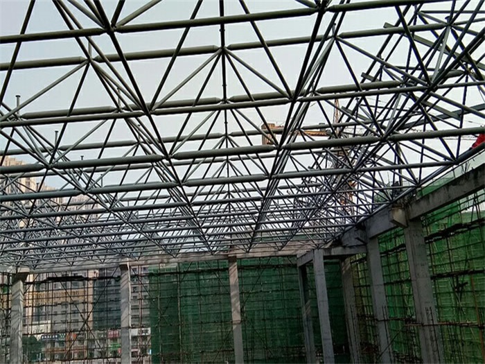 泰兴光谷第十一小学网架
